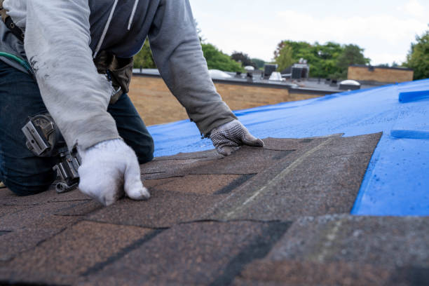 Best Flat Roof Repair Services  in Cedar Hill, MO
