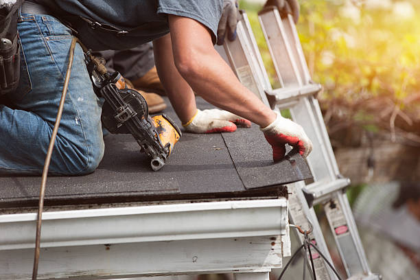 Best Roof Gutter Cleaning  in Cedar Hill, MO